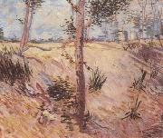 Vincent Van Gogh Trees in a Field on a Sunny Day (nn04) USA oil painting artist